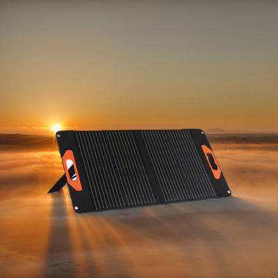 220,8% d'efficacité de conversion Panneau solaire 50W 60W 100W 200W pour les petits systèmes solaires