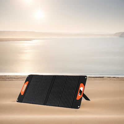 220,8% d'efficacité de conversion Panneau solaire 50W 60W 100W 200W pour les petits systèmes solaires