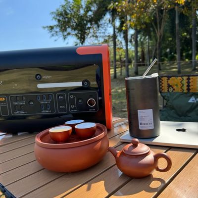 Station électrique portable de recharge sans fil pour le camping de secours d'urgence en extérieur LiFePO4