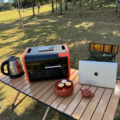 Station électrique portable de recharge sans fil pour le camping de secours d'urgence en extérieur LiFePO4