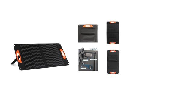 Module solaire tout noir de 60W 100W 200W avec silicium monocristallin