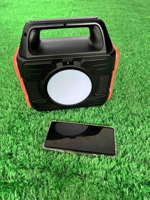 Station électrique portable de 300W Sortie AC/DC pour ménage extérieur 110V/220V