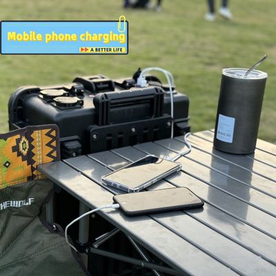 Portable Lifep04 batterie Pure sortie d'onde sinusoïdale 5000W/4800wh/48kg pour le camping en plein air