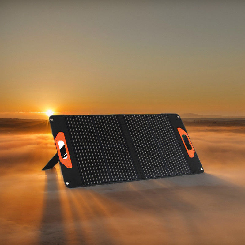 220,8% d'efficacité de conversion Panneau solaire 50W 60W 100W 200W pour les petits systèmes solaires