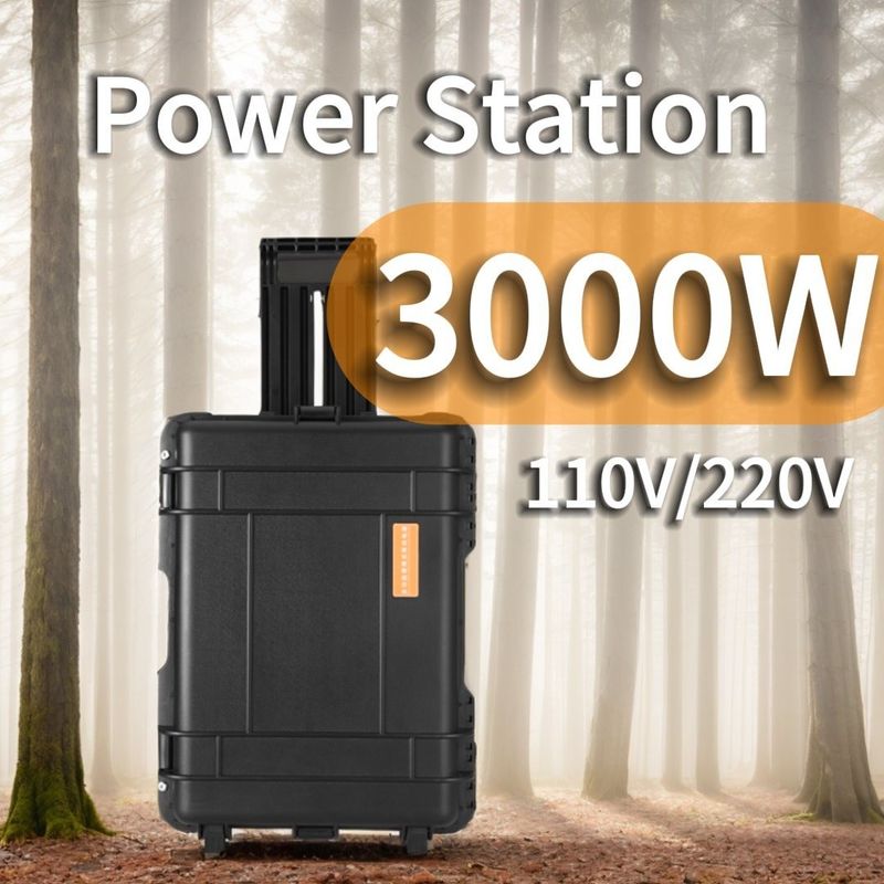 3kw Power Banks Chargeur Installation de la centrale électrique à ondes sinusoïdes pures sur demande personnalisée
